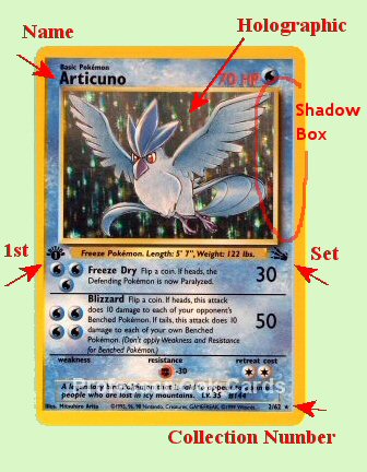 Articuno Holo Pokemon Fossil Set